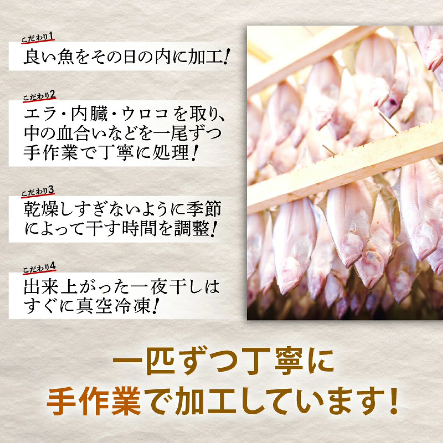 【産地直送】【冷凍】福丸　紅白かれい一夜干し　一夜干し　赤かれい　白かれい　各種5パック入り　越前産　福井県　海の幸