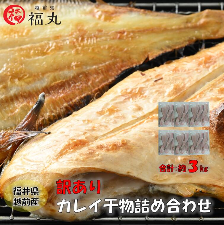 【産地直送】【訳あり】冷凍 福丸 国産干物 約3kg 約500g×6 一夜干し カレイ 無添加 小分け 赤かれい 白かれい ベタかれい お取り寄せ グルメ 海鮮 越前産 福井県 海の幸