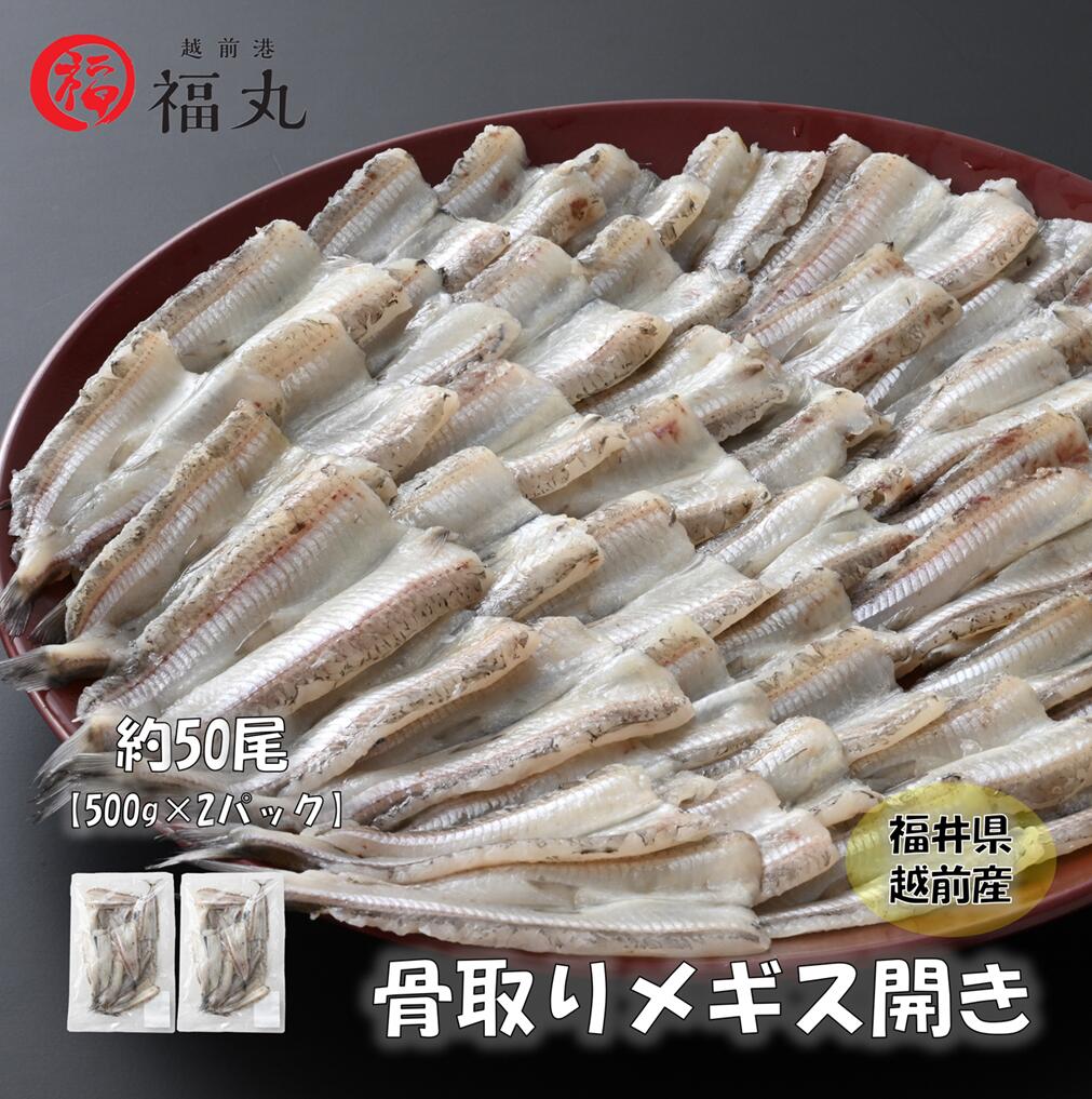 【食べやすい魚】福丸　骨取り　メギス開き　約1キロ　50尾　500g × 2袋　越前産　福井県　海の幸