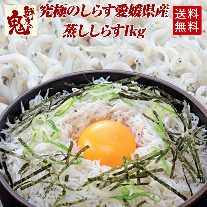 日本初 しらすを超えたしらす 愛媛県産 蒸し しらす 1kg 化粧箱入り ギフト プレゼント 釜揚げしらす