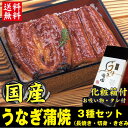 送料無料 うなぎ 蒲焼き [特大 1尾 + カット1枚 + ...