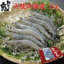 旨味の塊 天使の海老 1kg えび 海老 ニューカレドニア産 50～60尾