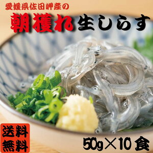 愛媛県産 生 しらす 500g (50g×10パック) 生しらす丼 10杯分 小分け 大容量 徳用 どんぶり さしみ