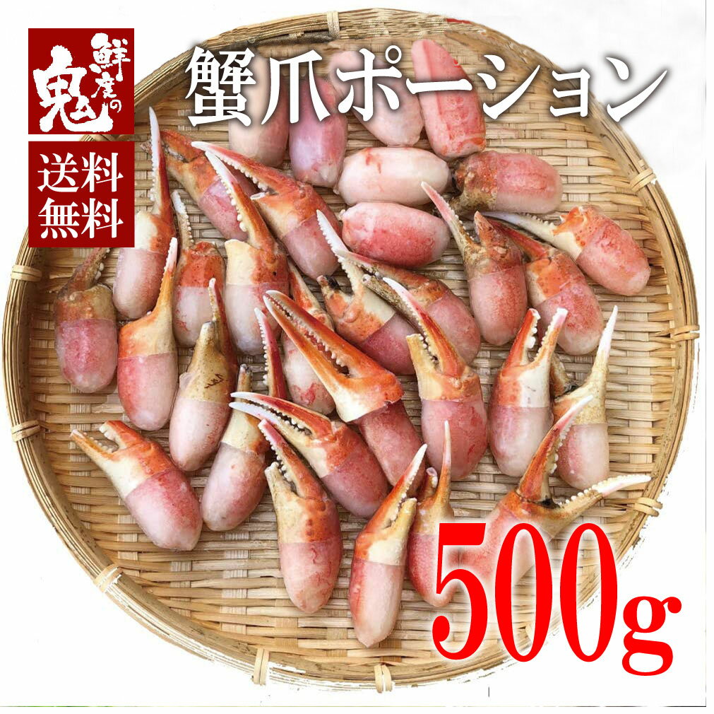 訳ありボイルずわいがに 爪 ポーション 500g 蟹 カニ かに ずわいがに 楚蟹 ずわい ズワイ かにしゃぶ かに鍋 カニ鍋 蟹鍋 送料無料