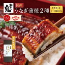 【16時まで当日発送】\ 母の日 予約受付中/ ギフト 国産 うなぎ 蒲焼 2種セット ウナギ 蒲焼き 鰻 ひつまぶし うな丼 うな重 プレゼント 無投薬 プレ...