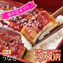 蒲焼き 母の日 父の日 早割！クーポン利用で￥2980！2尾ご購入で￥1500オフ！3尾ご購入で￥3000オフ！国産 うなぎ 蒲焼き お試し 無投薬 鰻 蒲焼 ウナギ プレゼント ギフト 父の日 冷凍 おつまみ うな丼 うな重