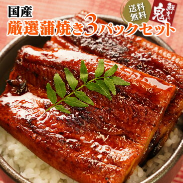 国産うなぎ蒲焼き3パック 【 うなぎ 蒲焼き 国内産 送料無料 鰻 うなぎ うなぎ父の日 うなぎ蒲焼き うなぎ特大 うなぎ国産 うなぎ送料無料 敬老の日 敬老ギフト うなぎ 国産　ウナギ うなぎ 】