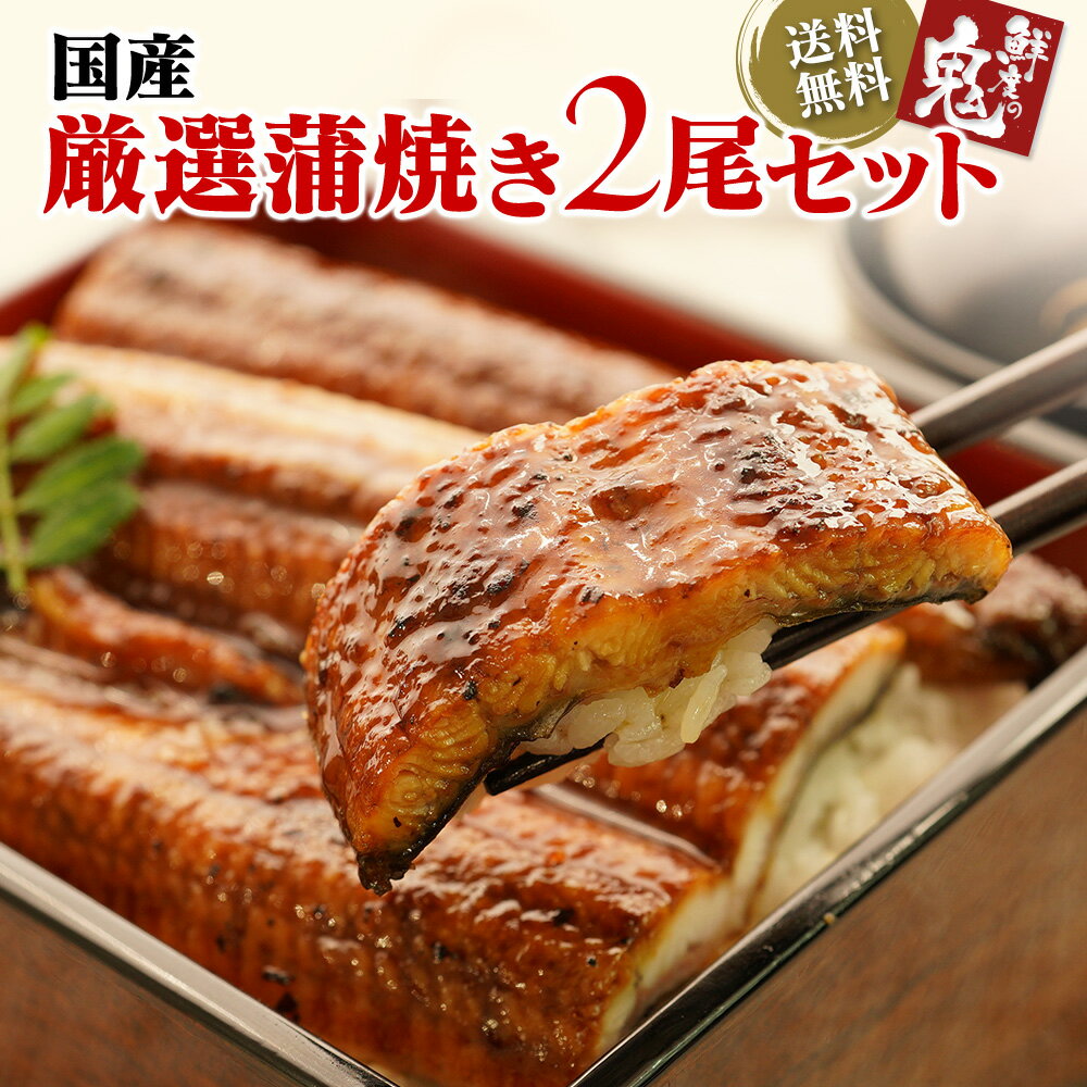 国産うなぎ蒲焼き2尾セット＋お吸い物付き 送料無料ウナギ　鰻　蒲焼き　国内産　ギフト　贈り物　高級　うなぎ 国産　ウナギ うなぎ 蒲焼き 母の日 プレゼント　父の日 ギフト