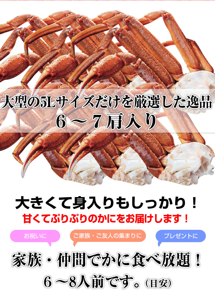 超特5Lサイズ！バルダイ種ずわいがに肩脚3kg (6〜7肩) （6〜8人前） | かに カニ 蟹 ずわい ズワイガニ 生 姿 焼きガニ かに鍋 カニ鍋 贈り物 贈答品 ギフト プレゼント お歳暮 活 送料無料 朝日共販 かに 　蟹