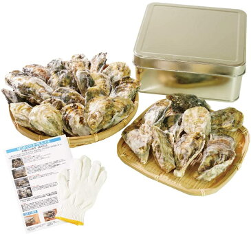 鮮度の鬼かんかん焼き 牡蠣30個入り カキ カンカン焼き 冷凍 牡蠣 かき 兵庫県室津産 食べ方説明書 軍手付き コンロでお手軽 バーベキュー BBQ 牡蠣 カンカン焼き 牡蠣 殻付き 牡蠣 冷凍 牡蠣 の カンカン 焼き セット 牡蠣 送料無料 牡蠣 かき