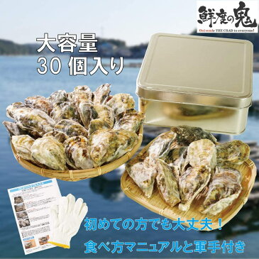 鮮度の鬼かんかん焼き　牡蠣30個入り カキ カンカン焼き　冷凍 牡蠣 かき 兵庫県室津産 食べ方説明書 軍手付き コンロでお手軽 バーベキュー BBQ 牡蠣 カンカン焼き 牡蠣 殻付き 牡蠣 冷凍 牡蠣 の カンカン 焼き セット 牡蠣 送料無料 牡蠣 かき