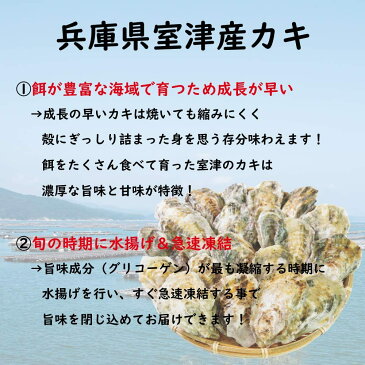 鮮度の鬼 かんかん焼き　牡蠣 20個入り カキ カンカン焼き　冷凍 牡蠣 かき 兵庫県室津産 食べ方説明書 軍手付き コンロでお手軽 バーベキュー BBQ 牡蠣 カンカン焼き 牡蠣 殻付き 牡蠣 冷凍 牡蠣 の カンカン 焼き セット 牡蠣 送料無料 牡蠣 かき