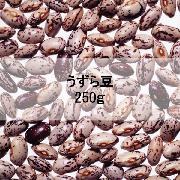 うずら豆250g【豆】【北海道産】【国産】【産地・北海道】
