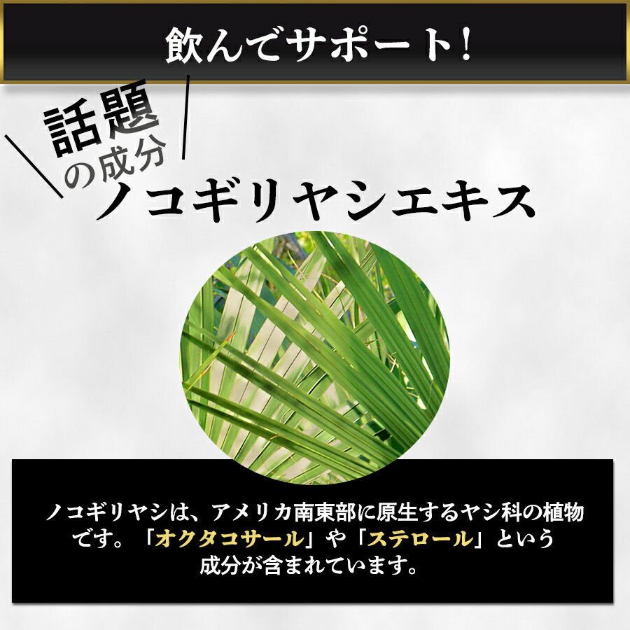 交換無料 薄毛 育毛 サプリ ノコギリヤシ セール中 Kaming Up カミングアップ 5袋セット 毛 増 髪の毛 栄養 髪質改善 頭髪 頭髪ケア 頭髪が抜ける 頭髪が薄い 頭髪 増やす 半額品 Gammagroups Com