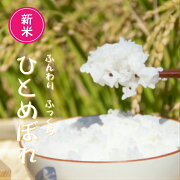 送料無料福島県産新米５ｋｇ米白米こしひかりコシヒカリ特別栽培米ふくしまプライドクーポン食卓主食ふっくらもっちり団らんおにぎりつやつや