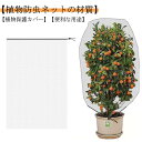3枚セット!植物保護カバー 防鳥ネット 菜園 園芸用ネット 防虫ネット プランター 花壇適用 ホワイト 透明 通気性