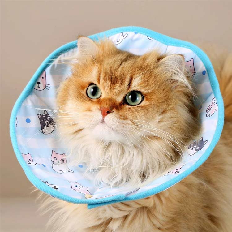 エリザベスカラー 犬用 猫用 ソフト 軽量 手術後 傷口保護 舐め防止 引っ搔き防止 ...