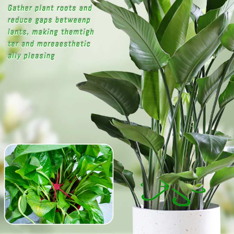 植物サポート 園芸用サポートフレーム 支柱ホルダー 固定フォーク 20Pcs つる植物...
