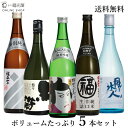 日本酒 飲み比べボリュームセット 720ml 四号瓶 5本 