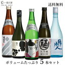 日本酒 飲み比べボリュームセット 720ml 四号瓶 5本 飲み比べ 送料無料 酒蔵直送 福光屋 お歳暮 ギフト 純米吟醸 純米 加賀鳶 福正宗 黒帯 風よ水よ人よ 生貯蔵酒 生詰 辛口 冷酒 常温 ぬる燗 熱燗 石川県 金沢 sake 地酒 プレゼント 御年賀 御歳暮 晩酌