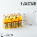 【送料無料】VATEN バテン 100ml 10本入 ミトコンドリア活躍飲料 公式 栄養ドリンク エナジードリンク ノンカフェイン 無添加 甘味料不使用 お米の発酵飲料 ヴィーガン アミノ酸 クエン酸 ポリフェノール 健康 美容 天然成分 ミトコンドリア 妊活