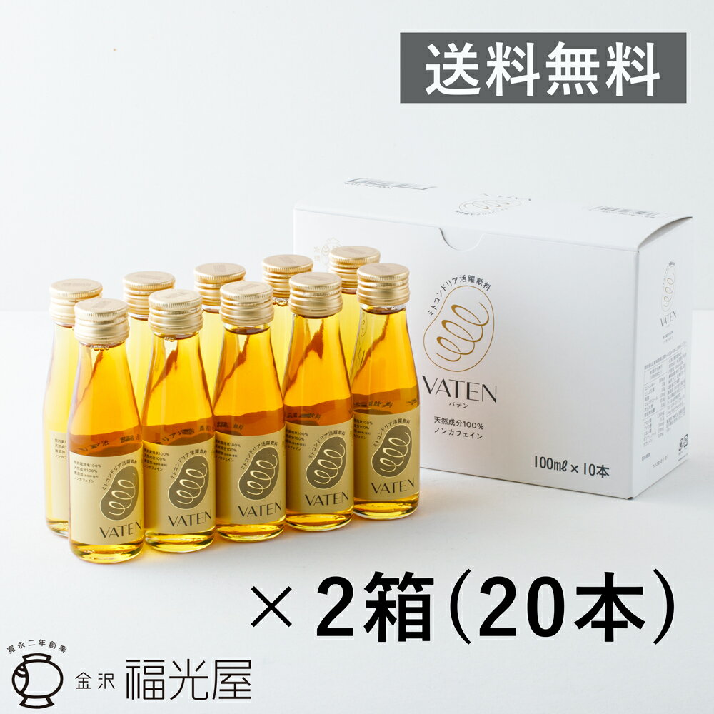 2ケース(20本)【送料無料】VATEN バテン 100ml 10本入×2ケース ミトコンドリア活躍飲料 公式 栄養 ドリンク エナジー ノンカフェイン 無添加 甘味料不使用 お米の発酵飲料 ヴィーガ