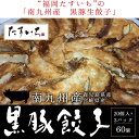 ＼九州産　黒豚餃子／ 美味しさあふれる黒豚生餃子（九州産黒豚使用)冷凍のまま焼くだけ簡単とっても便利♪20個×3パック入(60個) 国産野菜と鹿児島、宮崎産の黒豚のみ使用し、美味しさをそのまま包み込んだ黒豚生餃子です。冷凍餃子・贈り物ギフトに♪