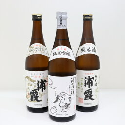 【送料無料】浦霞 飲み比べ セット 日本酒 純米酒 本醸造 純米吟醸 地酒 宮城 720ml ギフト お歳暮 プレゼント 3本