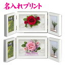  プリザーブドフラワー フォトフレーム ( 大 ) SD-5640 | ギフト おしゃれ 写真額 写真立て 高級 プレゼント 薔薇 バラ