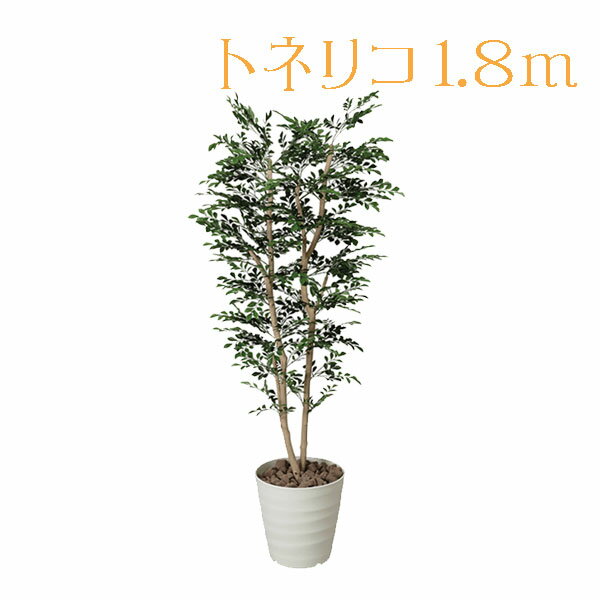 【 メーカー直送品 】 光の楽園 146C450-19 トネリコ H1.8 | 観葉植物 大型 おしゃれ フェイク インテリア 造花 セット 人工 お祝い プレゼント 消臭 光触媒 ギフト 開店祝い 新築祝い 当選祝い 結婚祝い