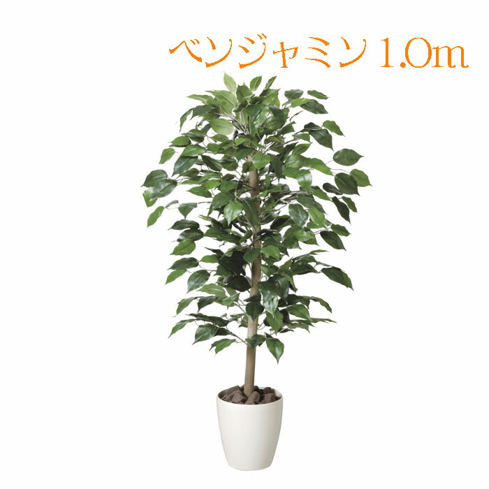 送料関税無料 の 人工 送料無料 送料無料 プレゼント 造花 光の楽園 ボールペン 0a150 33 フォトフレーム おしゃれ ベンジャミン 0a150 33 夫婦箸 1 0 マグカップ 観葉植物 当選祝い 大型 おしゃれ フェイク インテリア 造花 セット 人工 お祝い プレゼント