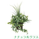 光の楽園 281K80 壁掛ナチュラルグラス | 観葉植物 大型 おしゃれ フェイク インテリア 造花 セット 人工 お祝い プレゼント 消臭 光触媒 ギフト 開店祝い 新築祝い 当選祝い 結婚祝い