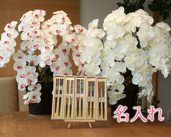 木製 送料無料 還暦祝 名入れ 花 花時計 ぷらす 桐箱入り 夫婦箸 プレミアム胡蝶蘭7本立て 657 8a250 Hashi2 ギフトセット ギフト セット 夫婦 桐箱 箸 はし おしゃれ 夫婦箸 ペア かわいい 長寿 プレゼント 光の楽園 光触媒 造花 胡蝶蘭 コチョウラン 名入れ