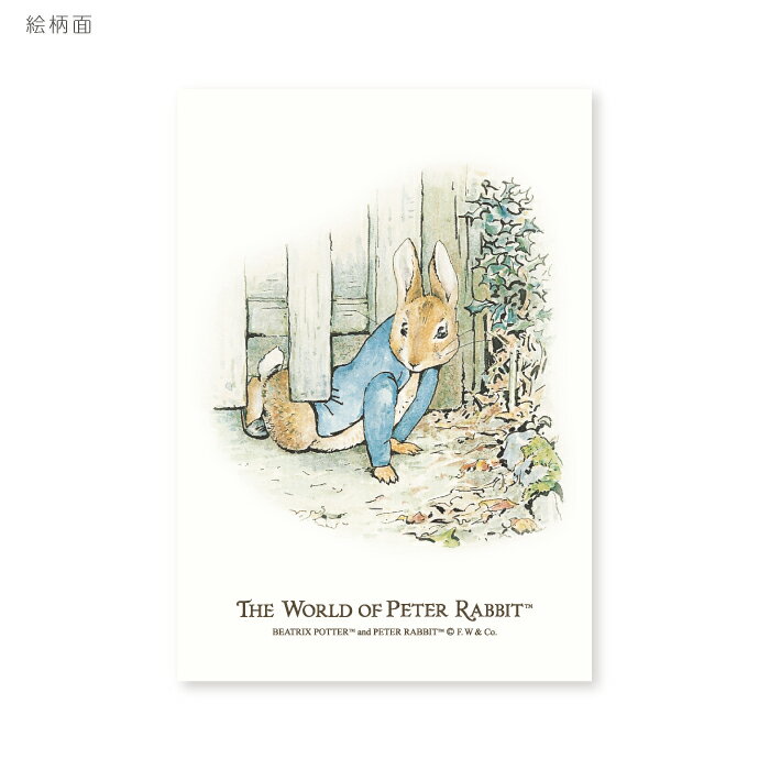 ピーターラビット ポストカード Peter Rabbit Postcard (もぐりこむピーター) かわいい ビアトリクス・ポター 楽しい 挿絵 水彩画 イラス...