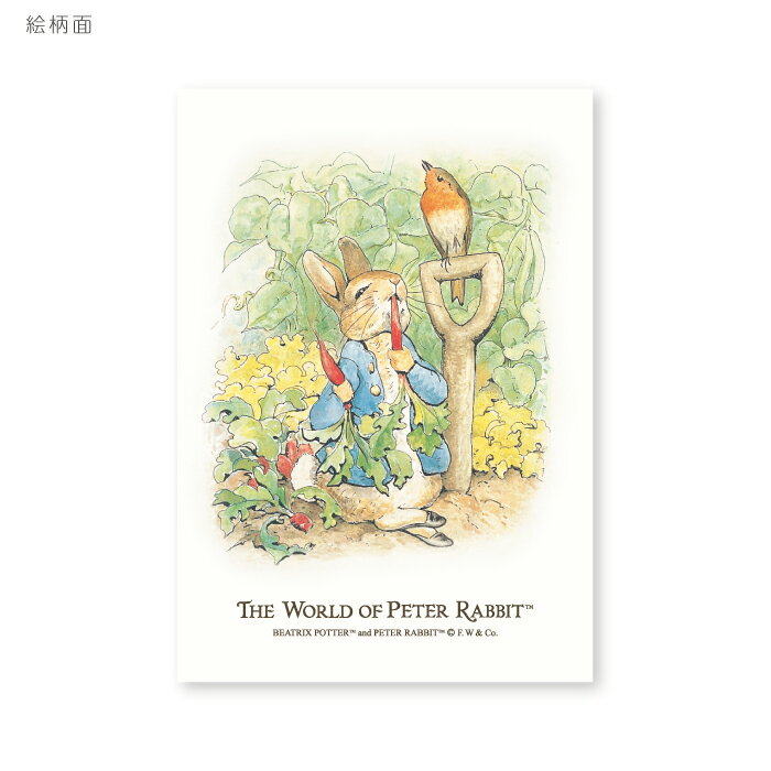ピーターラビット ポストカード Peter Rabbit Postcard (ピーターの食事)かわいい ビアトリクス・ポター 楽しい 挿絵 水彩画 イラスト ピ...