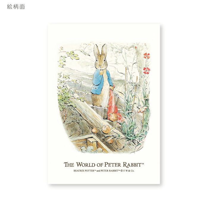 ԡӥå ݥȥ Peter Rabbit Postcard ʤԡˤ襤 ӥȥꥯݥ ڤ ޳ ̲ 饹 ԡӥåȤΤϤʤ ٥󥸥ߥХˡΤϤʤ