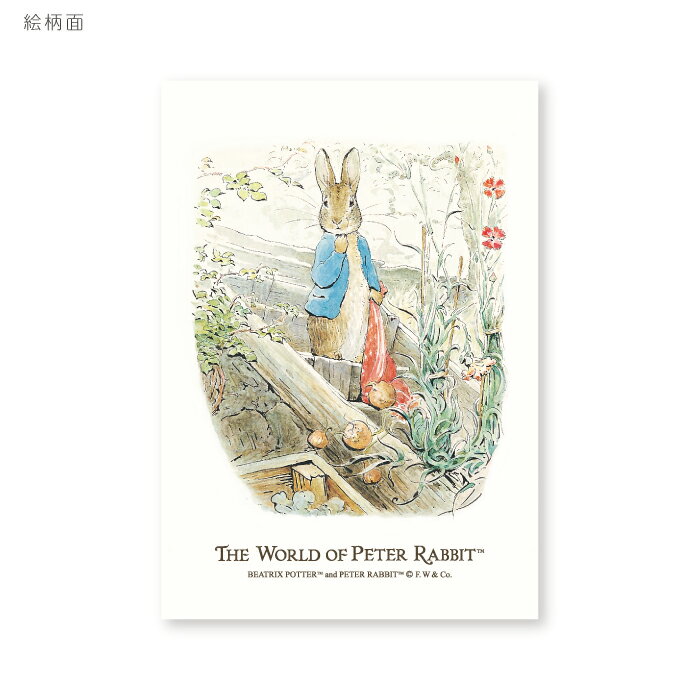 ピーターラビット ポストカード Peter Rabbit Postcard (たたずむピーター)かわいい ビアトリクス・ポター 楽しい 挿絵 水彩画 イラスト ...