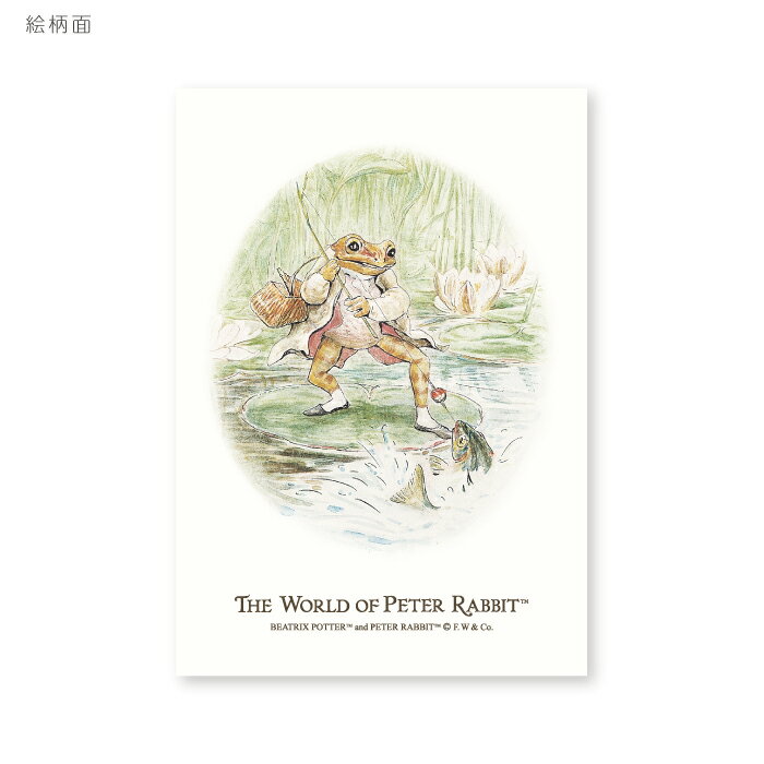 ピーターラビット ポストカード Peter Rabbit Postcard (フィッシャーどん) かわいい ビアトリクス・ポター 楽しい 挿絵 水彩画 イラスト...