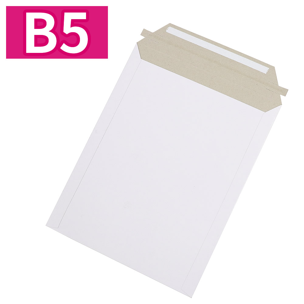 レターケース B5 梱包箱 290x225 50枚入
