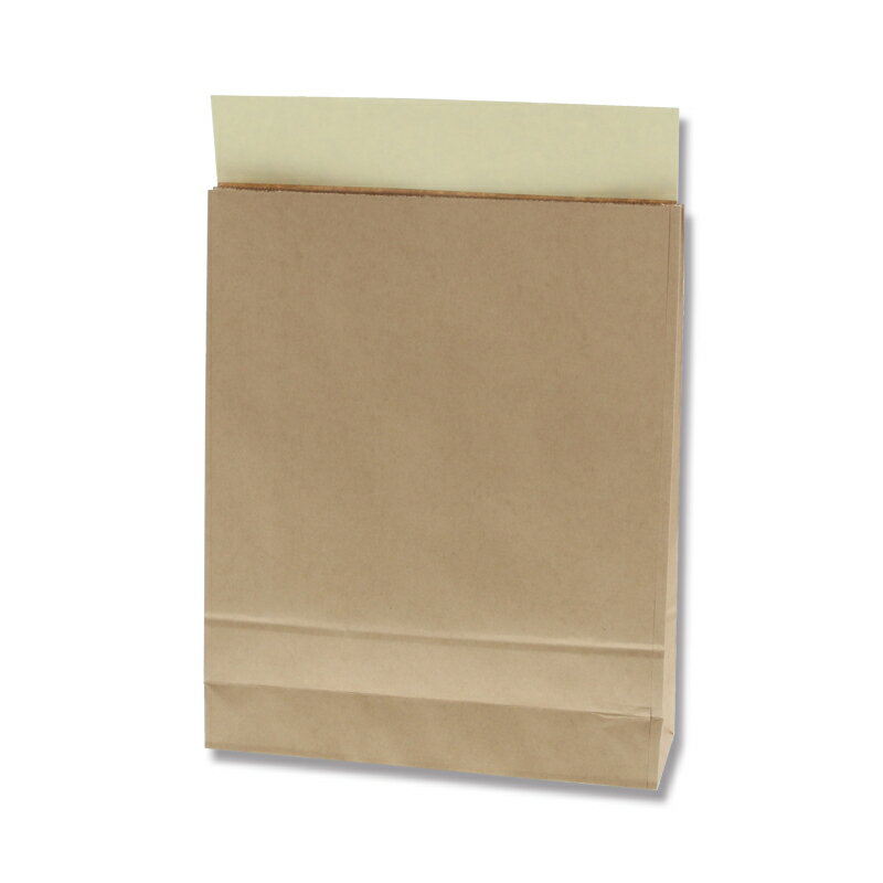 宅配袋 テープ付 S 未晒無地 25枚入