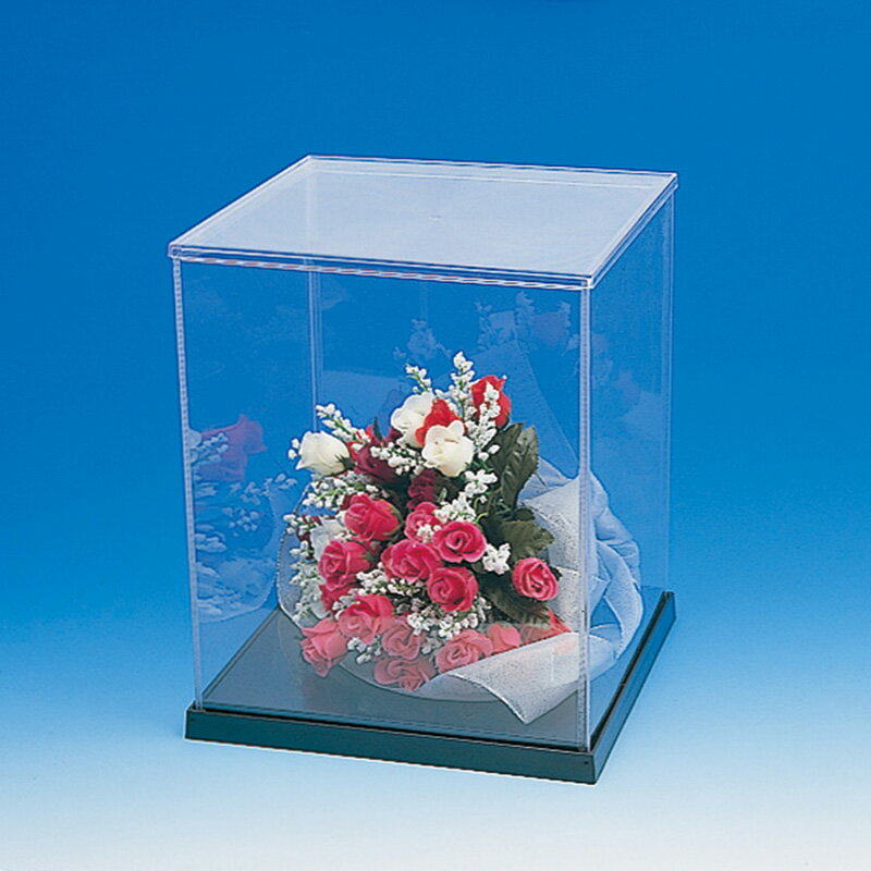 ギフトボックス 透明箱 クリスタルボックス ウインナーケース 角 21x25 4個 #007310905