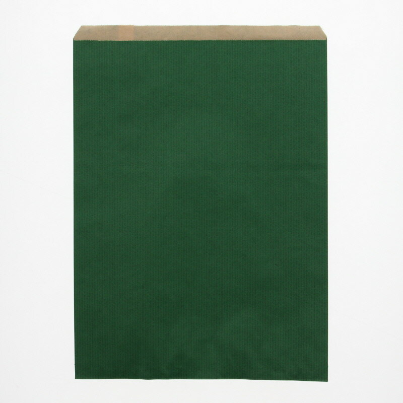 紙袋 平袋 柄小袋 Rタイプ 筋入無地 グリーン R10 200枚 #006526101