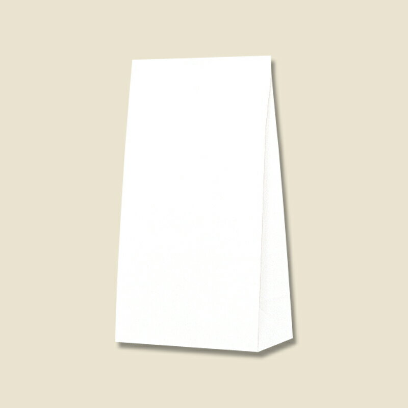 紙袋 角底袋 No.6 白無地 100枚 #004052600