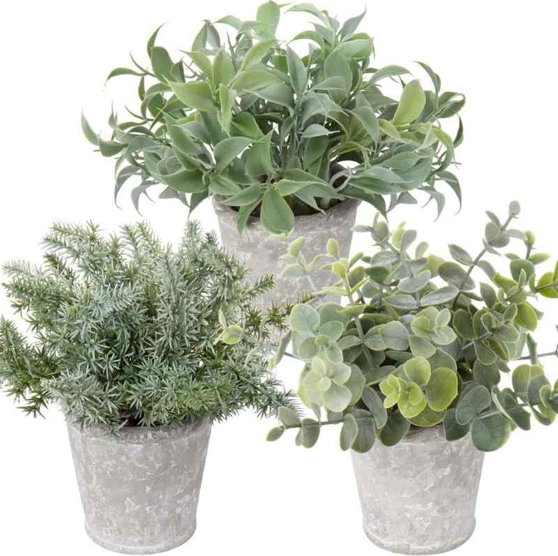 Villa Como インテリア グリーン フェイクグリーン 人工 観葉植物 フェイク 卓上 鉢植え 造花 テーブルデコレーション エアプランツ かわいい おしゃれ ギフト（ 3,くすんだ緑（セメント鉢）)のサムネイル