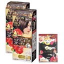 【まとめ買い】 サロンドプロ ヘアマニキュア スピーディ 5A アッシュブラウン 2個+おまけ