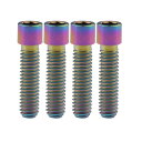 Ruifu チタン合金小頭六角穴付ボルトM4x10/13.5/15/20/25mm自転車用トランスミッター調整ボルト4本入 (M4x10mm, レインボー)