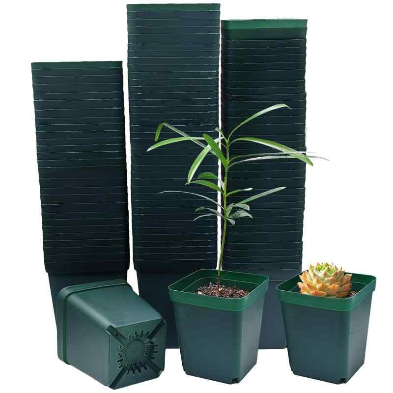 Rakuten - RooTrimmer 育苗ポット 8cm 100個入り 正方形 苗ポット、植木鉢 プラスチック 多肉植物 鉢、プラ鉢 種蒔きポット、育苗用ポリポット, ダークグリーン