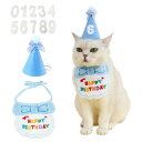 KALOLINNA 犬 誕生日 猫 誕生日帽子 2点セット 誕生日グッズ 犬猫のためのペットの誕生日用品 HAPPY BIRTHDAY ペット 誕生日プレゼント...