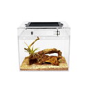 Reptile Growth 小型爬虫類 ケージ 透明 爬虫類ケージ 飼育容器 小動物用 カメ亀 タンク 両生類用飼育ケース 飼育ボックス 20 x 20 x 18 cm, カメ、クモ、カエル、ゲッコ、カマキリ、ヘビ、サソリ、