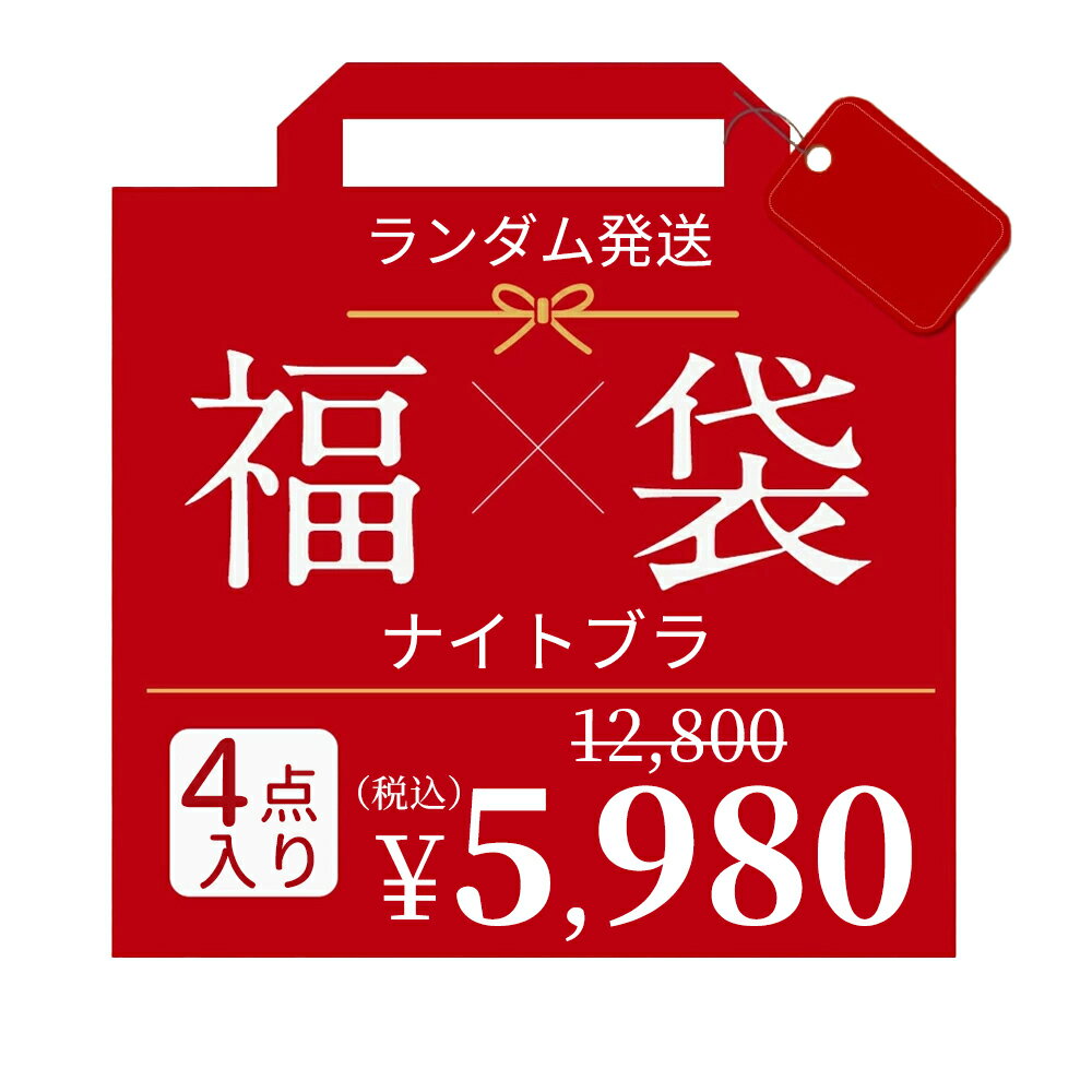 【スーパーSALE!53%OFF】★未来link福袋2026★【ナイトブラ】4点入り【S,M,L,XL,XXLサイズ】数量限定